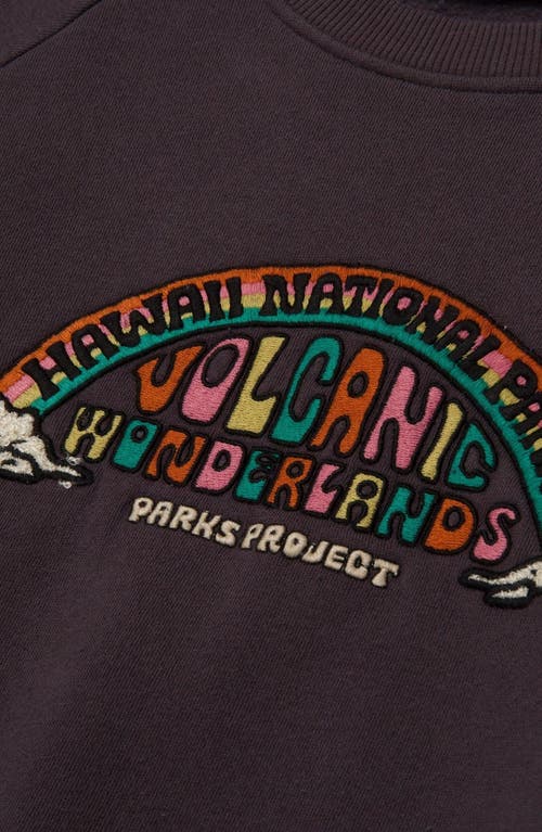 Parks Project Hawai'i Geological Wonderlands Crew Sweatshirt In Gray