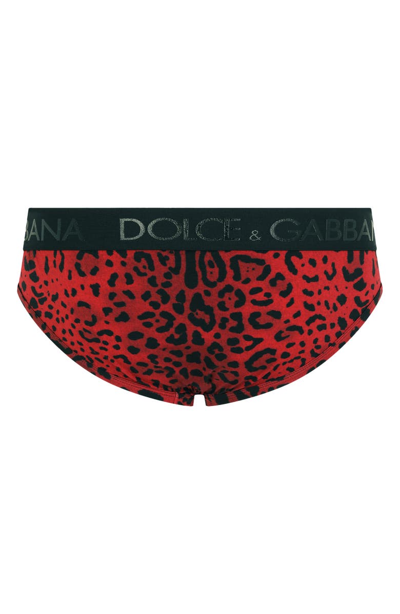Dolce&Gabbana Leo Midi Fit Leopard Print Briefs, Alternate, color,