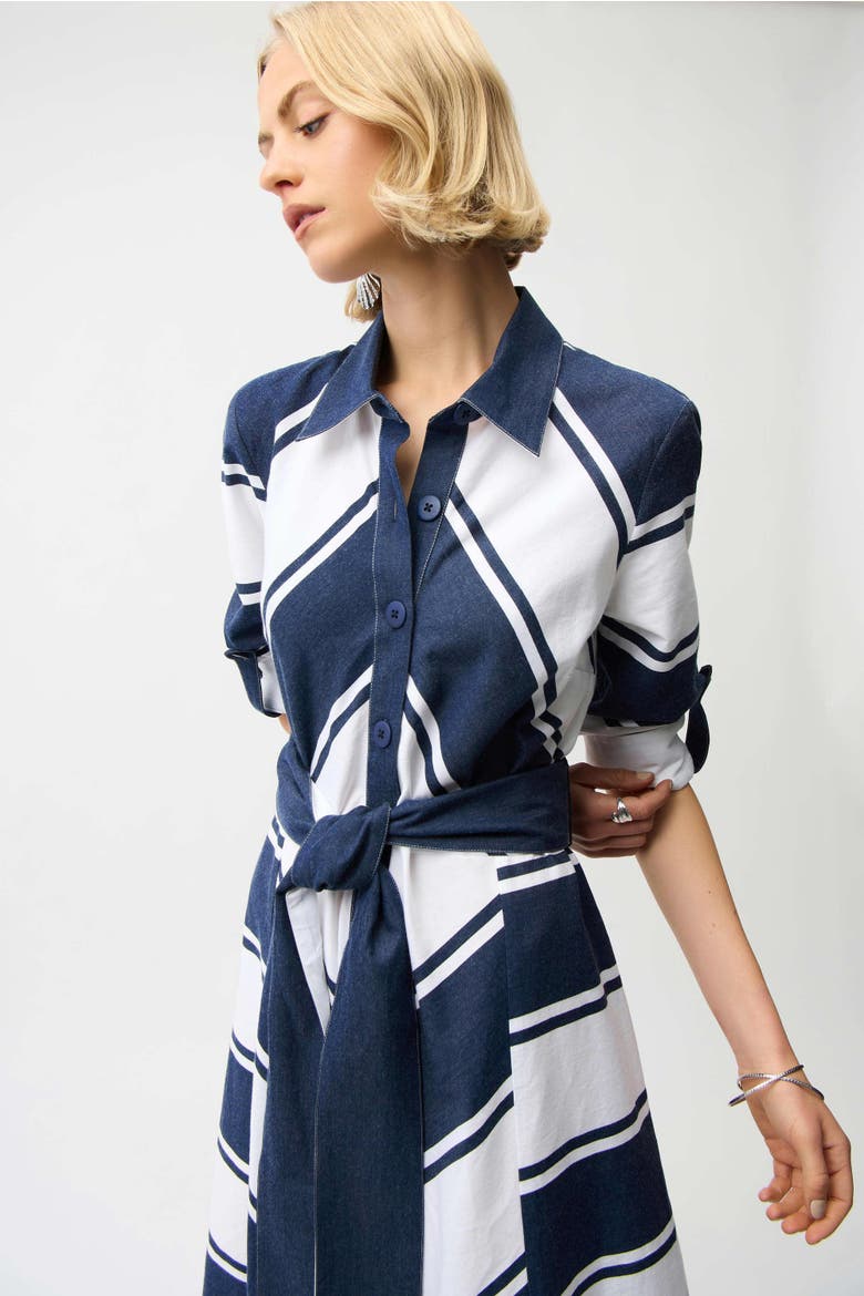 Cotton Stripe Print Fit and Flare Shirt Dress with Reversible Sash, Alternate, color, Navy/White