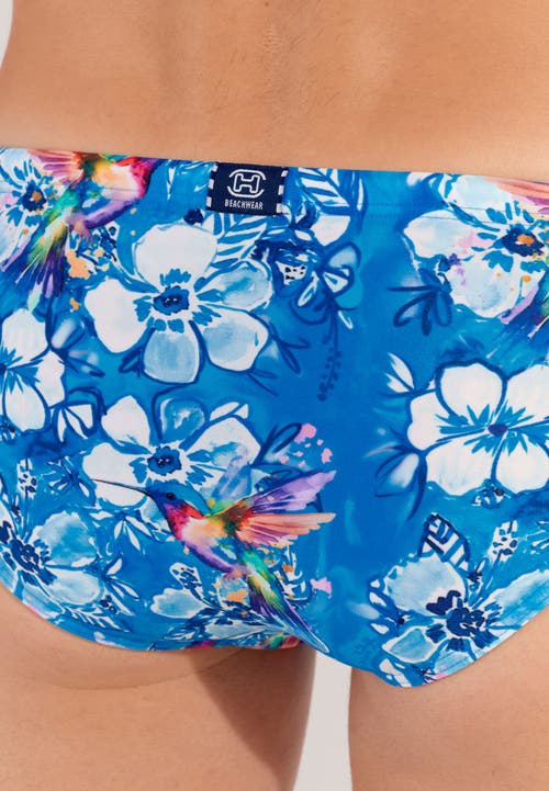 Hom Colibris Swim Micro Briefs In Blue Print