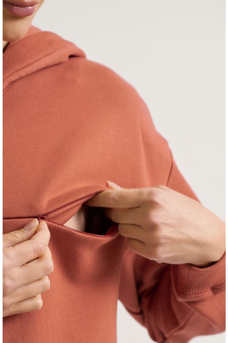 Boston Maternity & Nursing Hoodie, Alternate, color, Terracotta