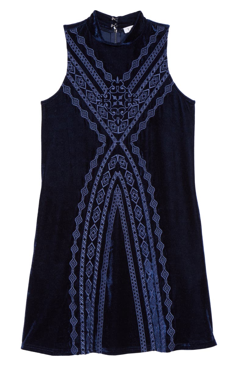 THML Embroidered Velvet Shift Dress, Alternate, color, 