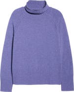 Seasalt Cornwall Basset Cove Merino Wool Blend Turtleneck Sweater