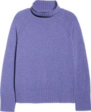 Seasalt Cornwall Basset Cove Merino Wool Blend Turtleneck Sweater