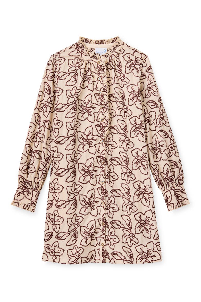 Ramona Embroidered Mini Dress, Main, color, Field Floral Embroidery