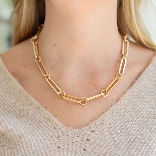 Erin Mcdermott Jewelry Lia Link Necklace In Gold