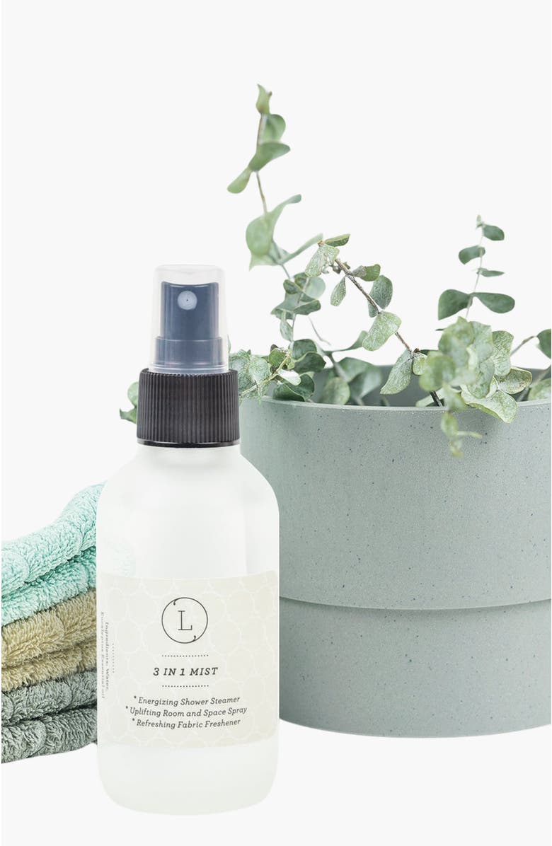 Lizush Eucalyptus Essential Home Spray, Alternate, color, NO COLOR