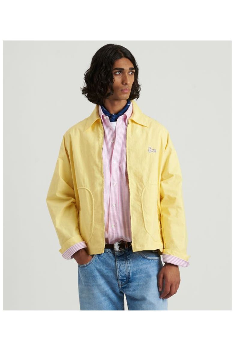 Cotton Bomber Jacket, Alternate, color, Blue