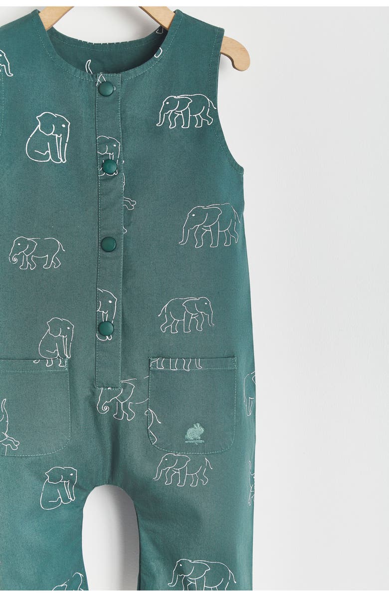 Babycottons Premium Cotton Raj Playsuit for Infant, Alternate, color, Pastel Blue