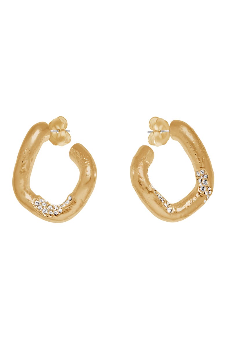 Fatima Crystal Frost Hoop Earrings, Alternate, color, GOLD TONE CLEAR CRYSTAL