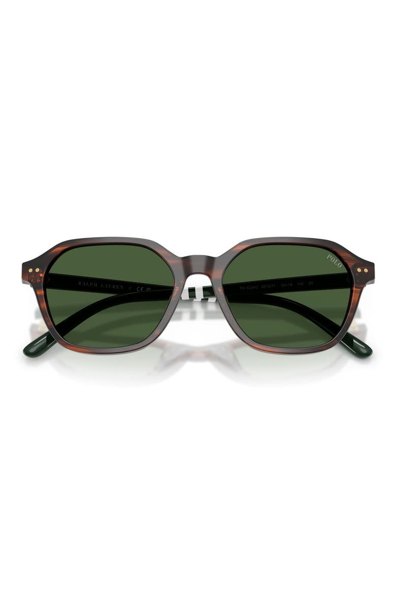 54mm Irregular Sunglasses, Alternate, color, SHINY STRIPED BROWN / GREEN