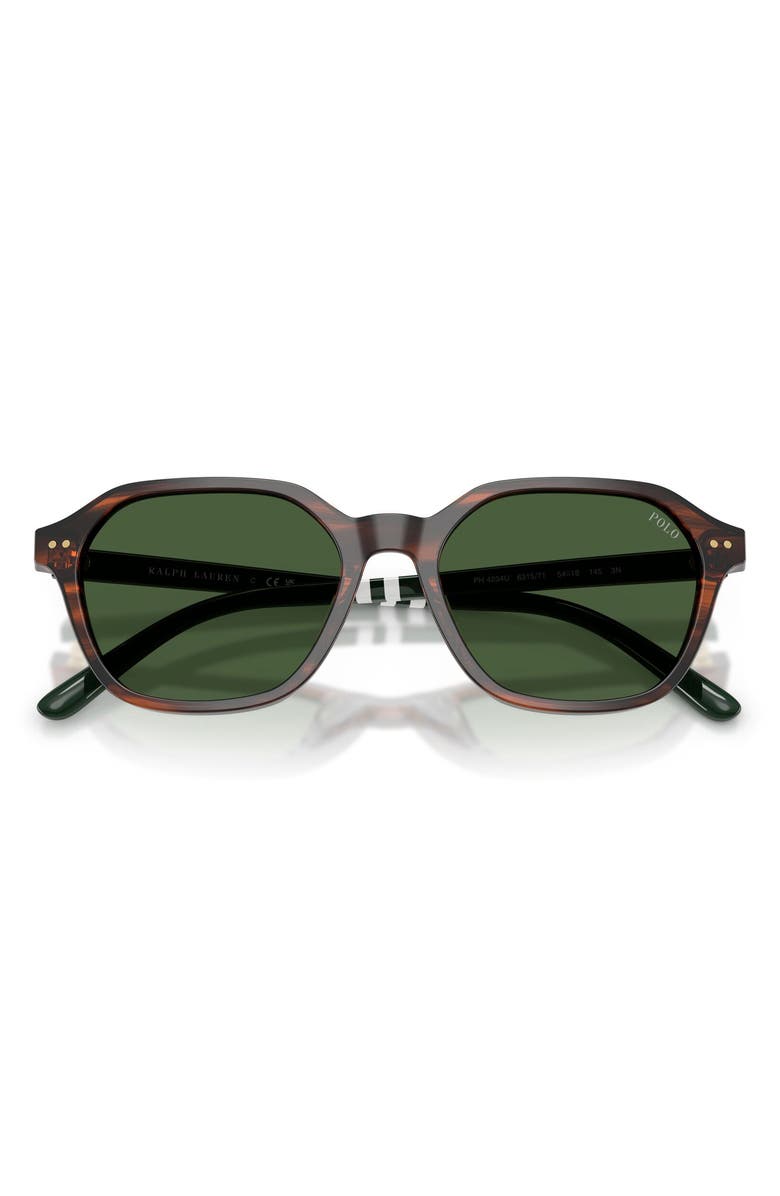 Polo Ralph Lauren 54mm Irregular Sunglasses, Alternate, color, Shiny Striped Brown / Green