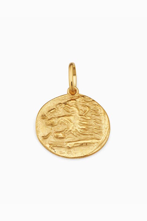 14K Gold Greek Lion Medallion Pendant Charm