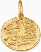 Oradina 14K Gold Greek Lion Medallion Pendant Charm
