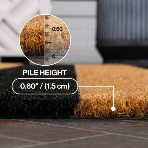 Jonathan Y Sutton Modern Coastal Striped Coir Indoor/outdoor Area Rug In Multi