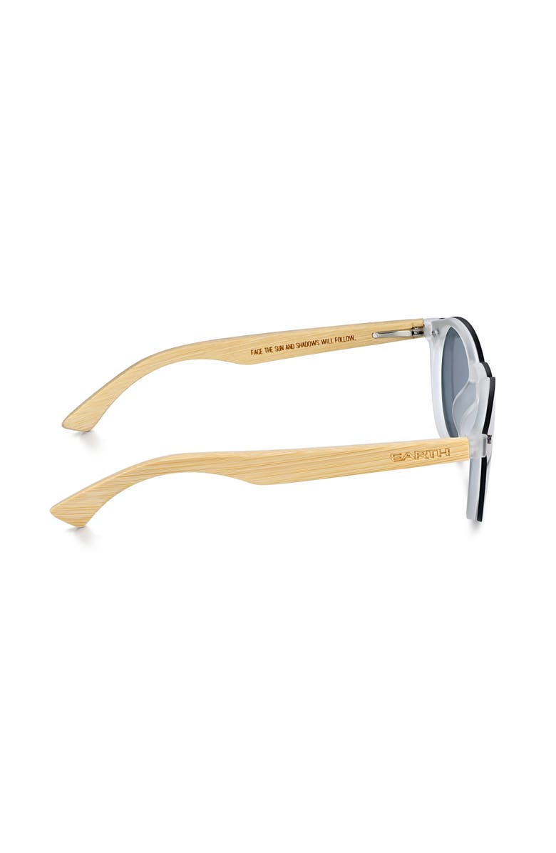 EARTH WOOD Earth 611 Polarized Sunglasses, Alternate, color, Bamboo/Silver