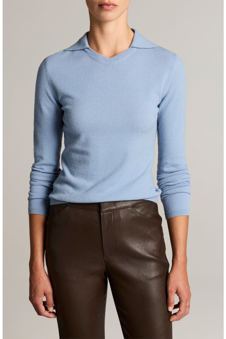 V-Neck Polo Sweater, Main, color, DELPHITE