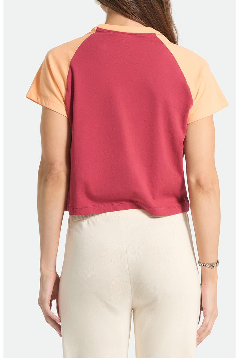 Swallow Sky Raglan Sleeve Crop Graphic T-Shirt, Alternate, color, ROBUST RED/ PEACH COBBLER
