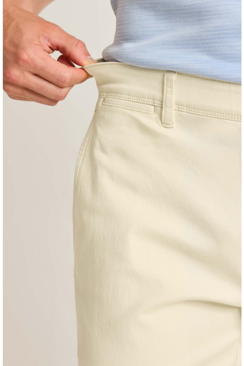 Boracay® Island Flat Front Stretch Chinos, Alternate, color, SPRAY