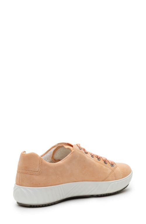 Ara Alexandria Suede Sneaker In Orange