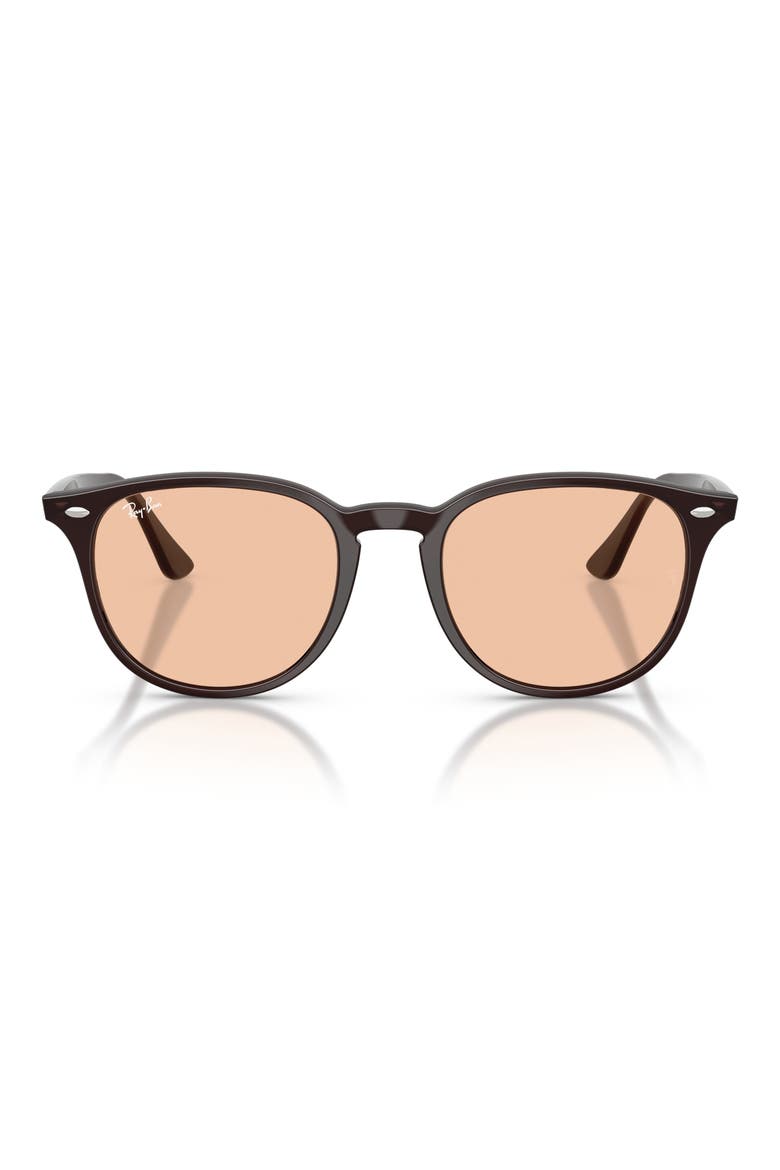 50mm Phantos Sunglasses, Main, color, TRANSPARENT BROWN / BROWN