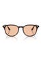  Transparent Brown / Brown