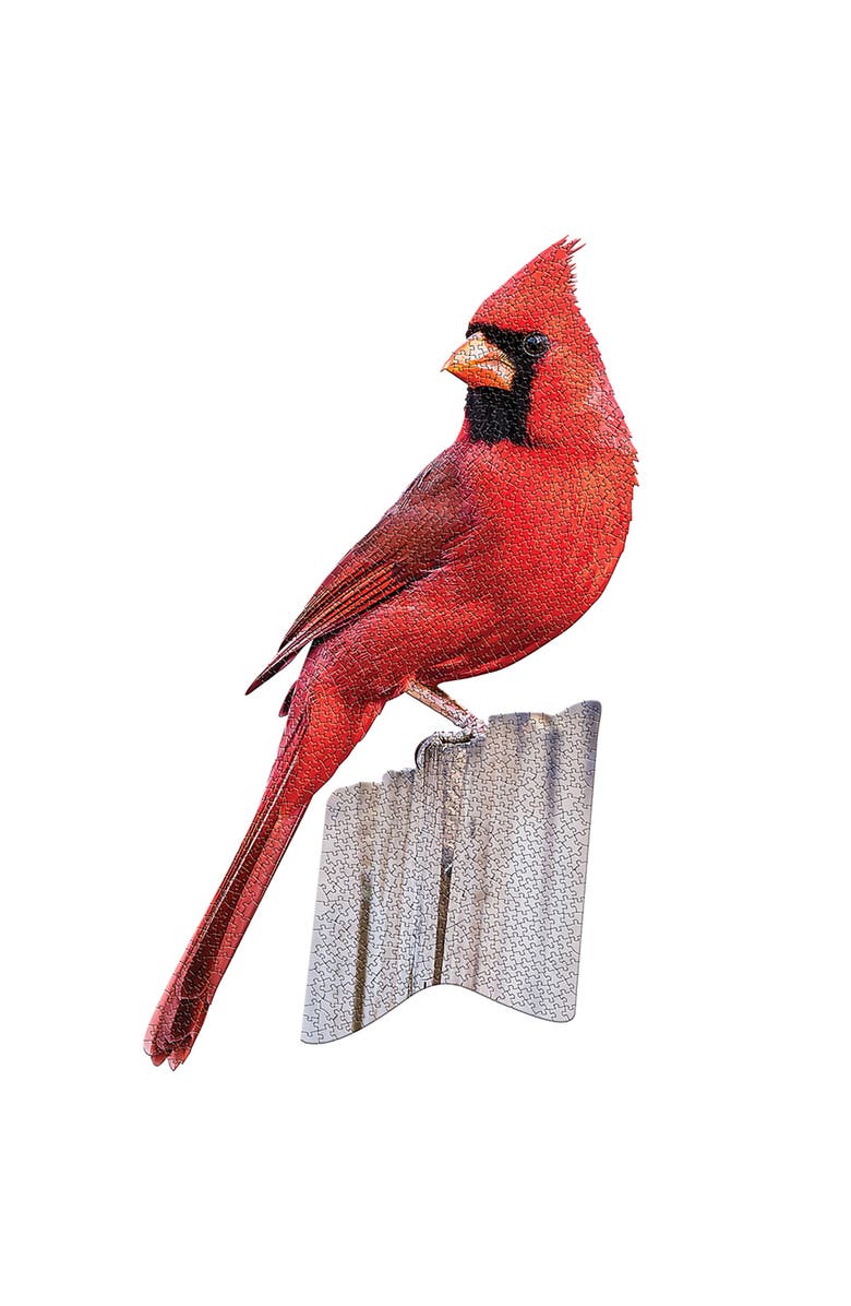 Madd Capp I Am Cardinal 1000 Piece Bird Shaped Jigsaw Puzzle, Alternate, color, Multicolored