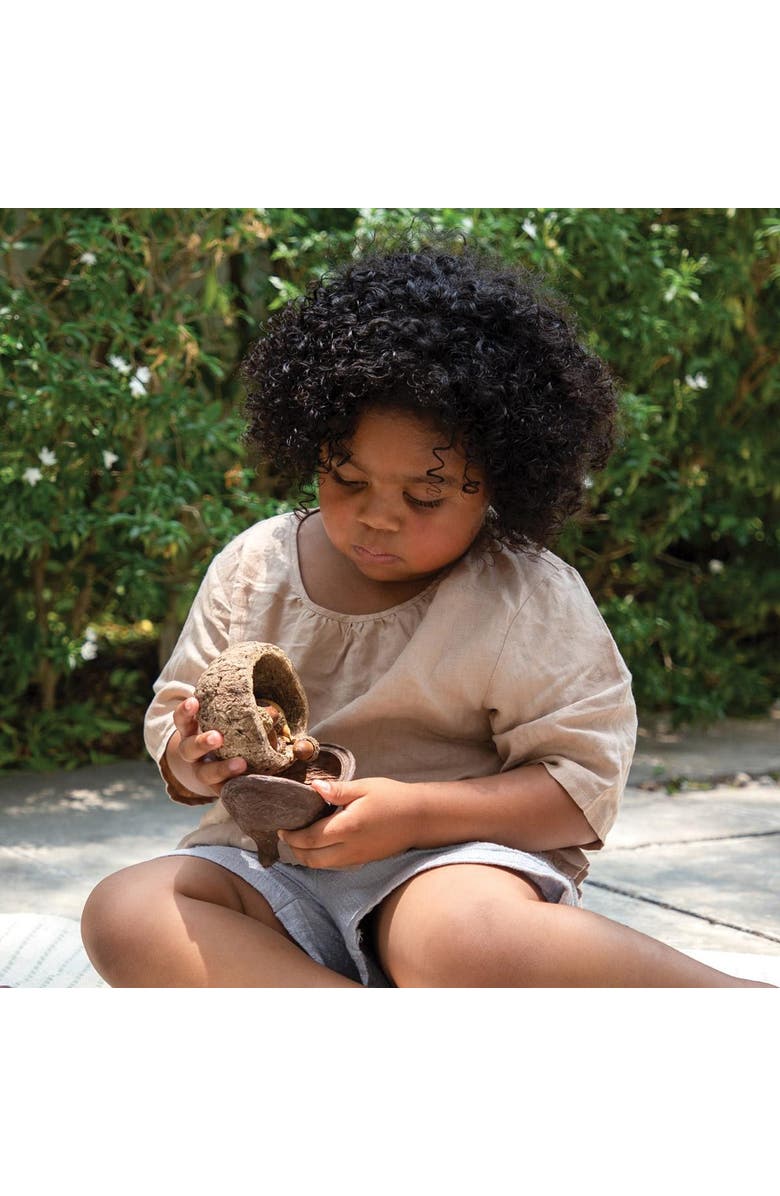 Kaplan Early Learning Company Nature's Geometry Loose Parts STEM Kit, Alternate, color, Multicolored