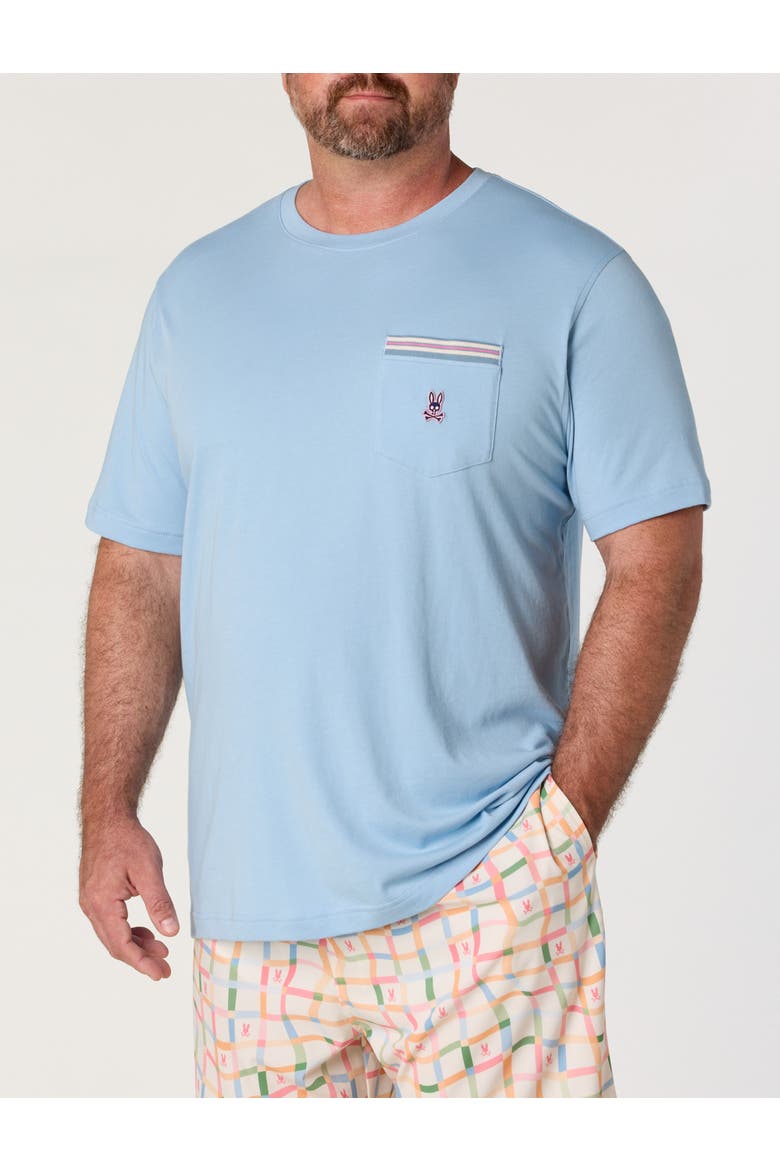 Big & Tall Rory Pocket T-Shirt, Main, color, GLACIER LAKE
