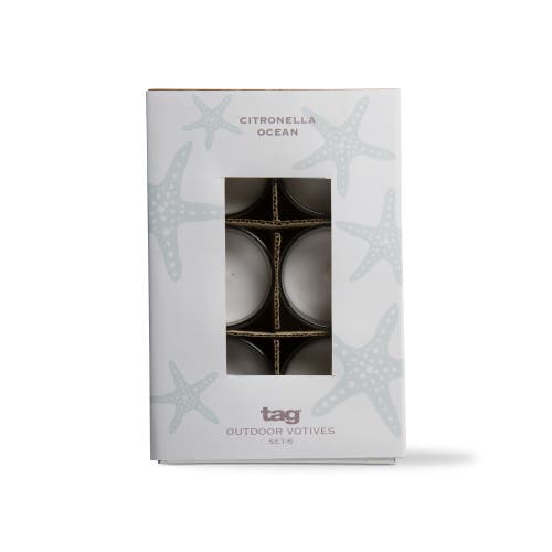 Tag Citronella Ocean Glass Votives Set Of Six Scented Candles In Brown