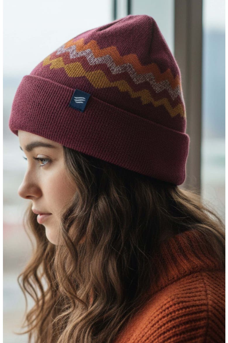The Merino Wool Mountain Scape Knit Beanie, Alternate, color, Burgundy