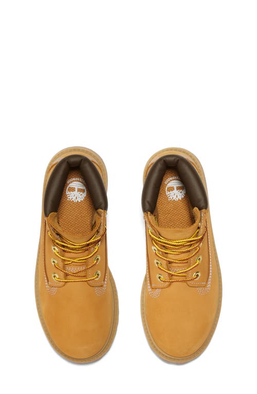 Timberland Kids' Premium 6-inch Waterproof Boot In Wheat