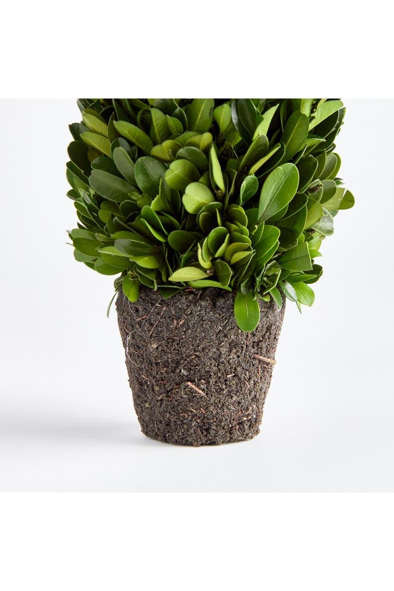 Boxwood Cone Topiary Drop-In 12", Alternate, color, Green