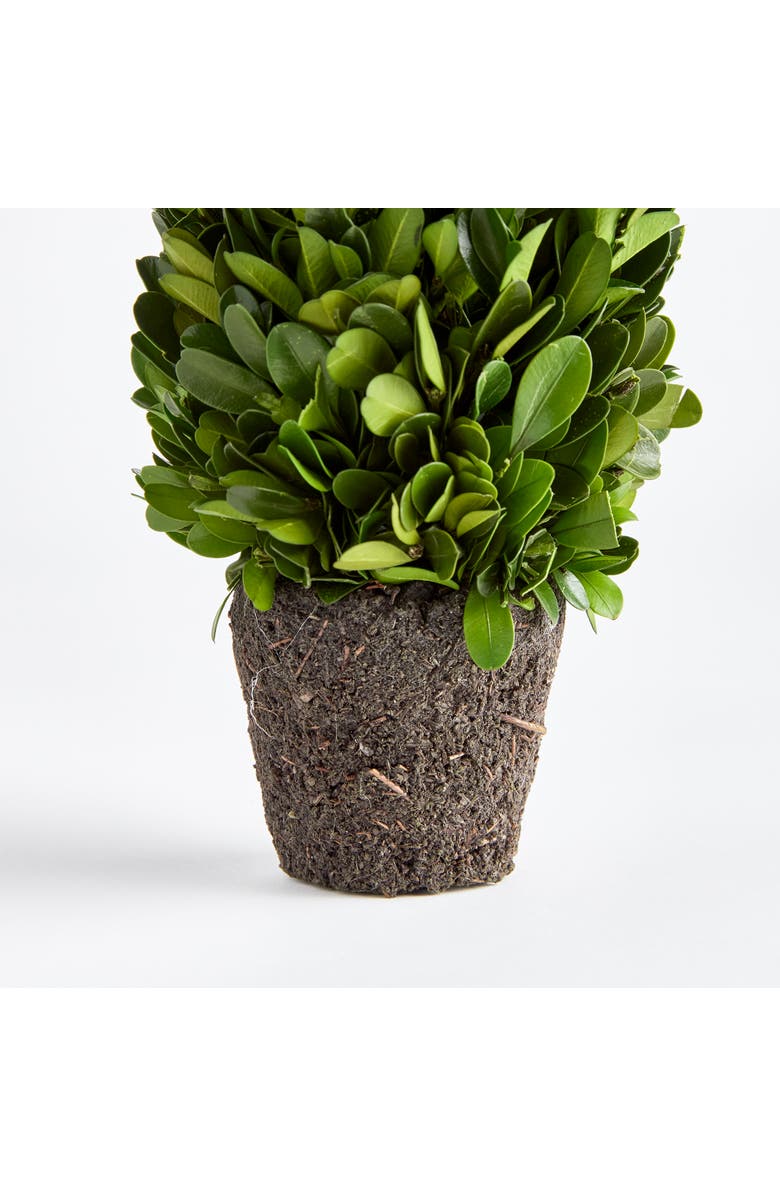 Napa Home & Garden Boxwood Cone Topiary Drop-In 12", Alternate, color, Green