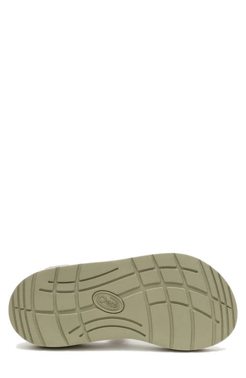 Chaco Cushz Sandal In Frond Truffle
