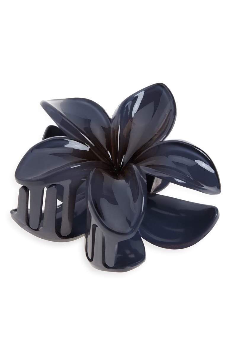 BP. Pulmeria Claw Clip, Main, color, Grey