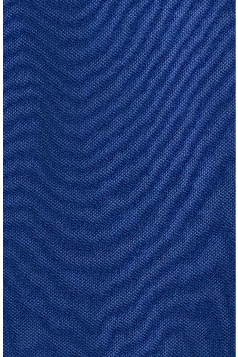 The Iconic Cotton Mesh Polo, Alternate, color, BLUE