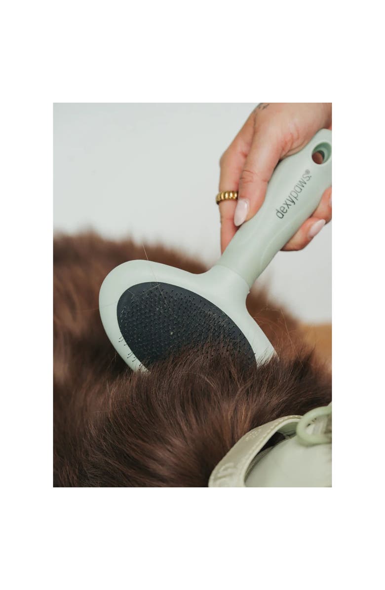 Dexypaws Slicker Brush, Small, Sage Green, Dog & Cat Grooming Tool, Alternate, color, Green