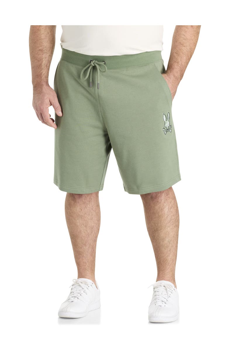 Psycho Bunny Big & Tall Baxter Embroidered French Terry Shorts, Main, color, Sea Spray