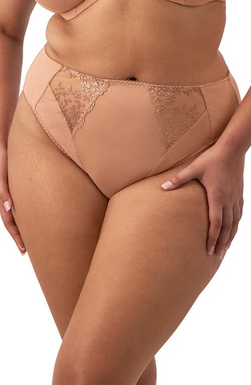 Elomi Zarla High Leg Briefs In Caf Au Lait