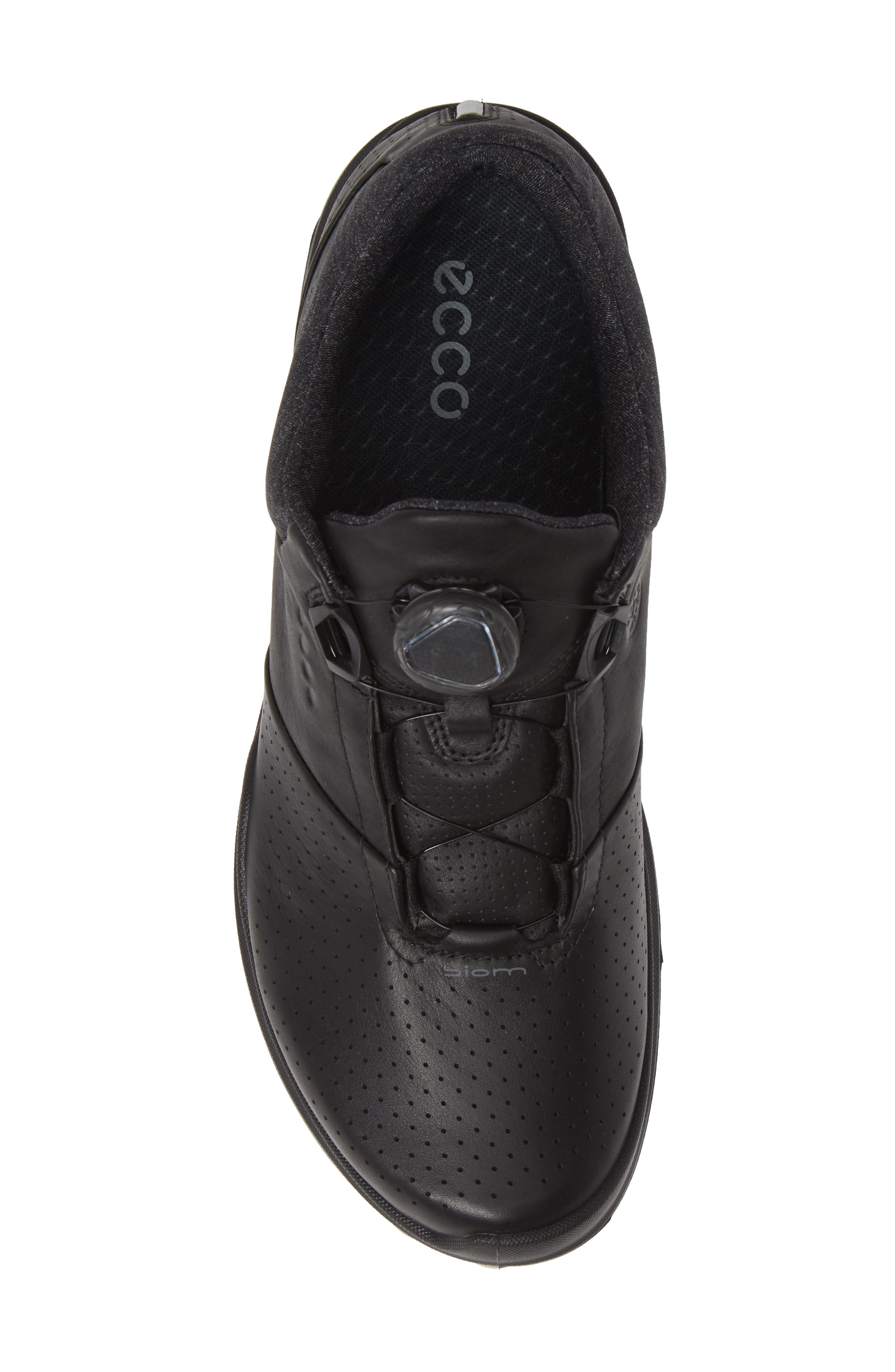 ECCO BIOM Hybrid 3 Gore-Tex<sup>®</sup> Golf Shoe, Alternate, color, 