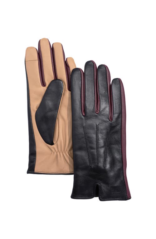 Echo Colorblock Leather Glove In Black