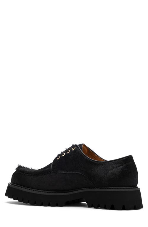 Marc Nolan Luca Genuine Calf Hair Lug Sole Derby