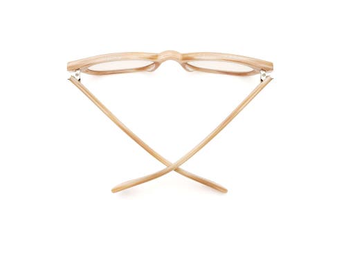 Caddis Miklos | Reading Glasses