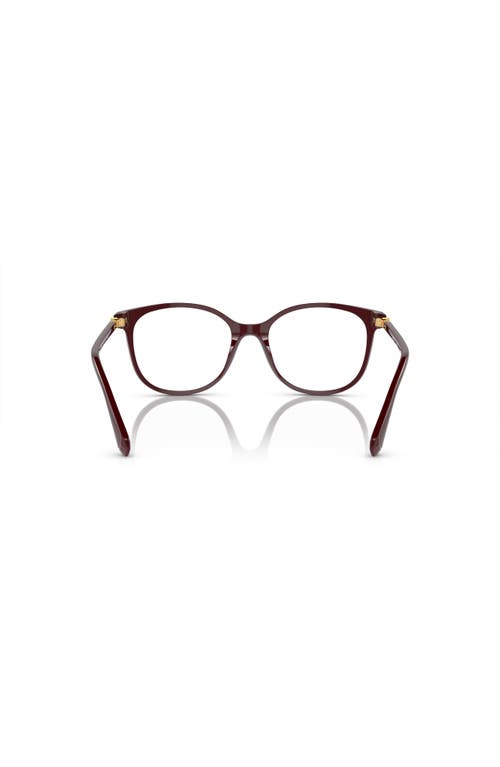 Swarovski 53mm Square Optical Glasses In Red