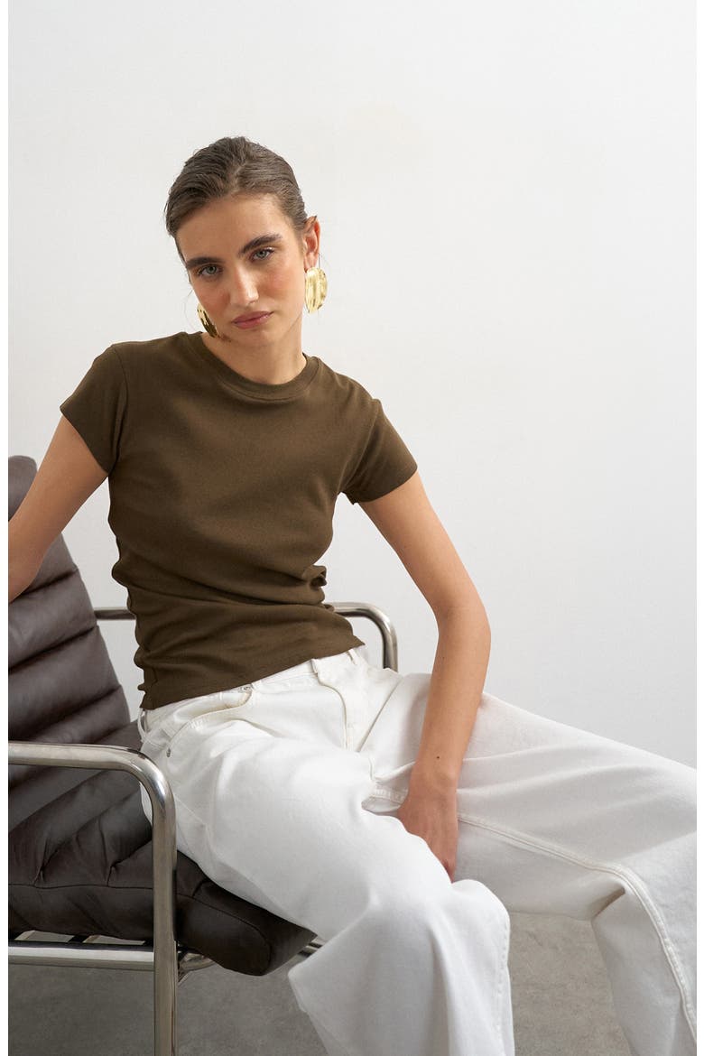 Everyday Cotton T-Shirt, Alternate, color, BROWN
