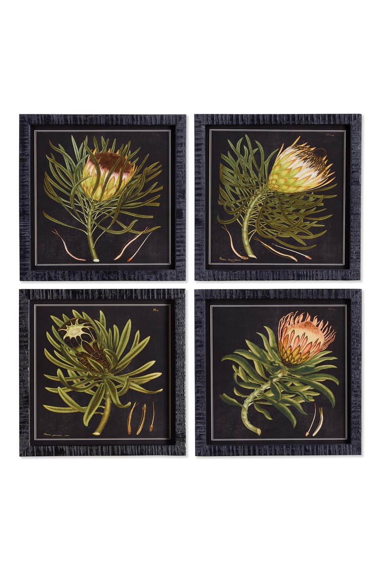 Protea Petite Prints Set of 4, Main, color, Black