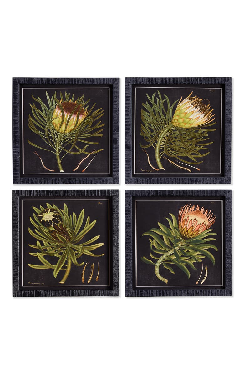 Napa Home & Garden Protea Petite Prints Set of 4, Main, color, Black
