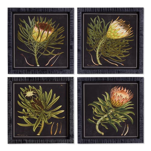 Napa Home & Garden Protea Petite Prints Set Of 4 In Black
