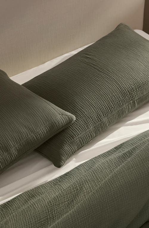 Boll & Branch Dream Duvet Set In Green